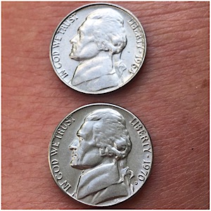 Asking-For-Help-Regarding-A-Very-Detailed-1964-Nickel-In-Question