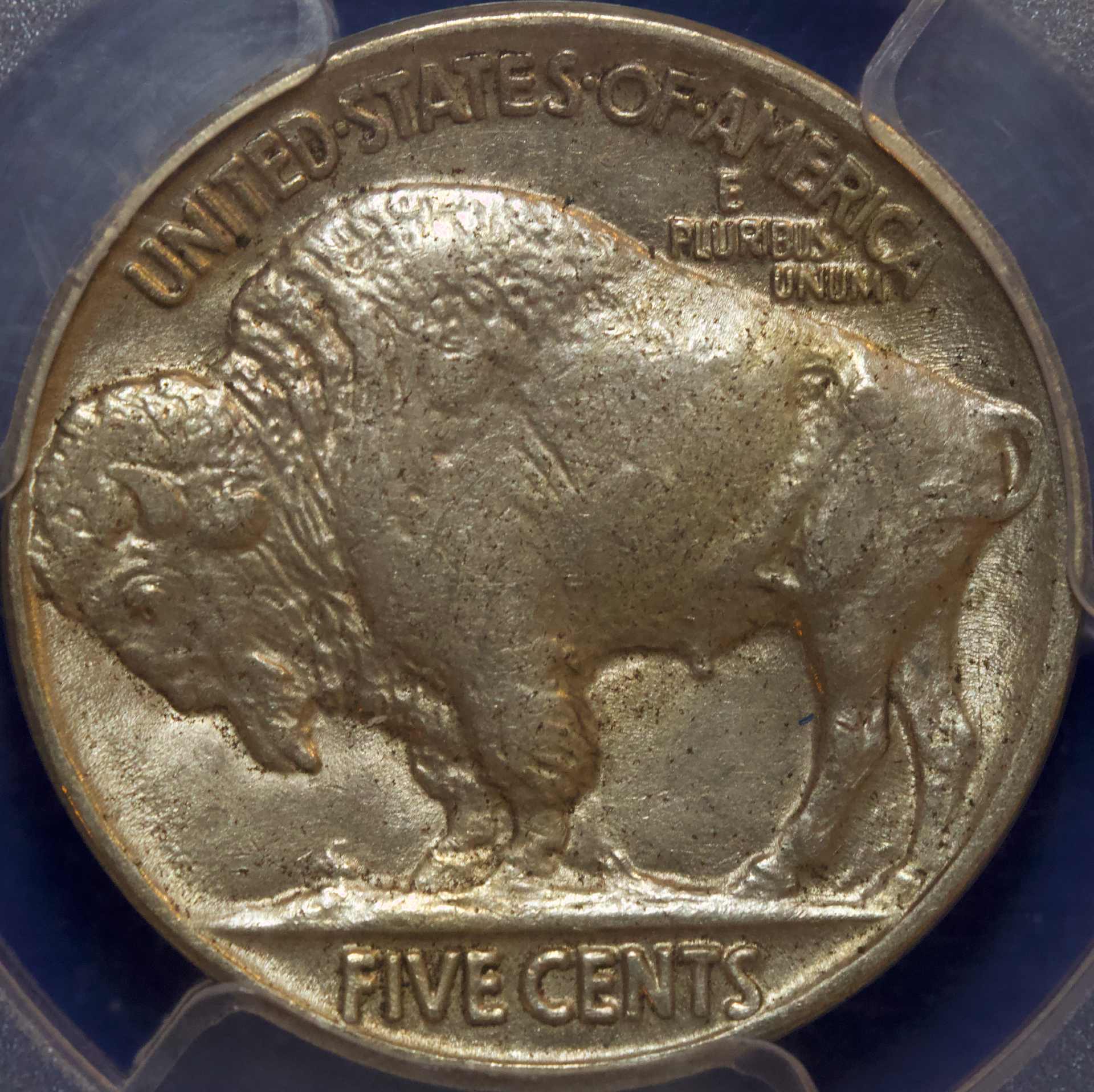 1923-P-Buffalo-Nickel-GTG