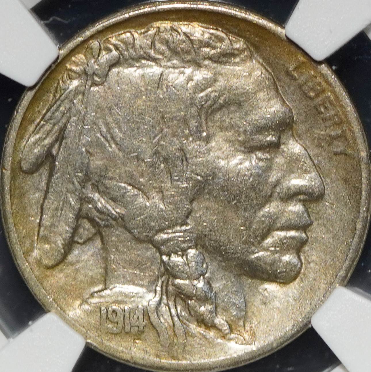 Guess-The-Grade-1914-S-Buffalo-Nickel