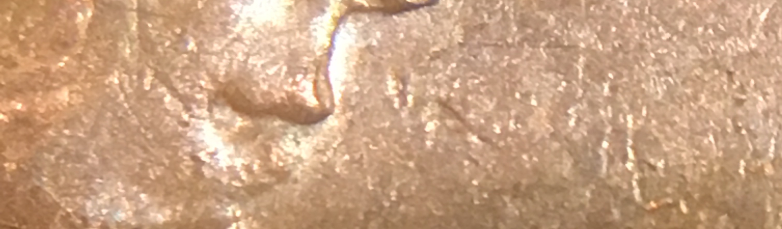 1967-Canadian-Cent.-Doubling-On-The-Obverse.
