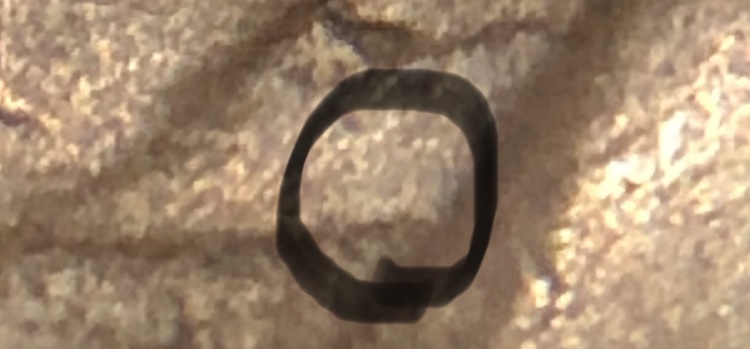 1864-Indian-Head-Cent-L-On-The-Ribbon,-Its-Faint-But-I-Believe-It-Is-There.