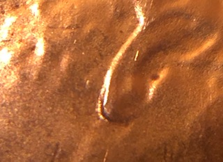 2019-D-LSC-Doubled-Ear-Cent-Found