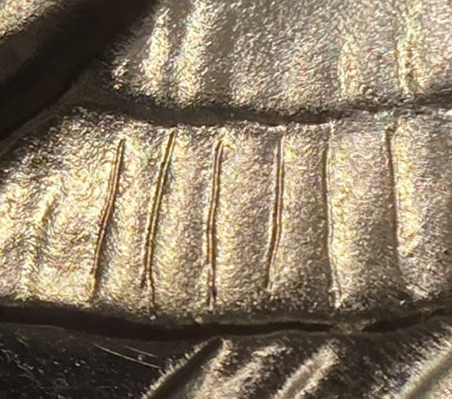 1964-Proof-Washington-Quarter.-Would-This-Be-Considered-Re-Engraved?