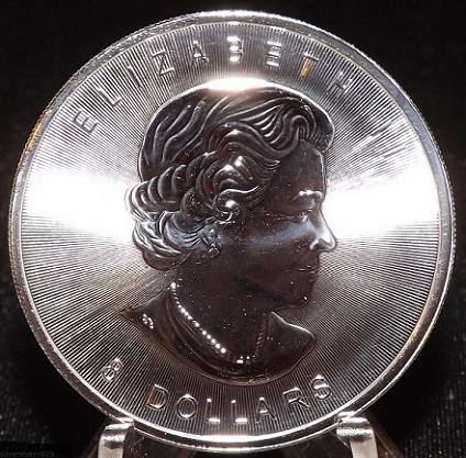 I-Really-Like-Coins-With-A-Bison!