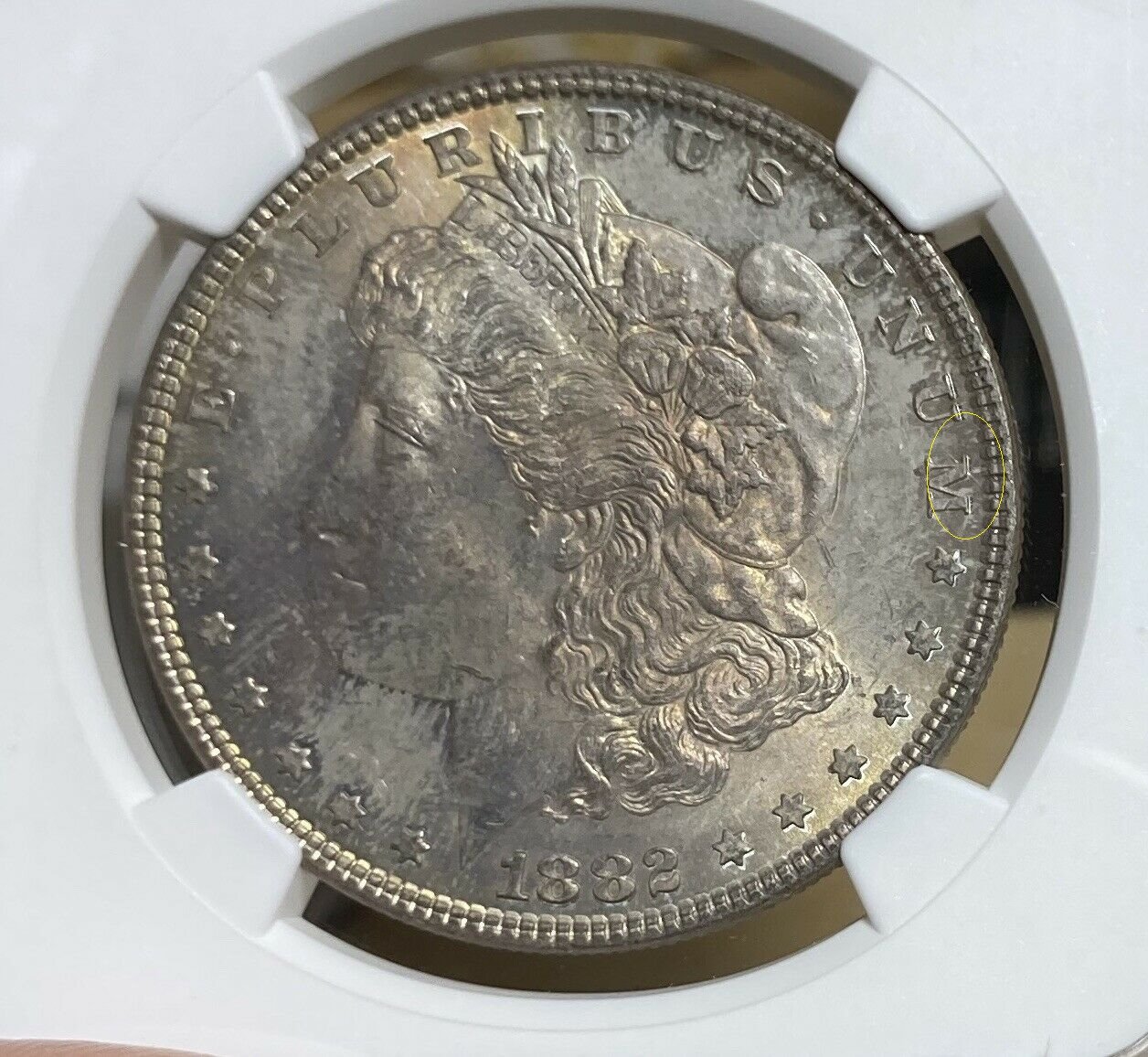 Continuing-List-To-Show-Everyones-Latest-Acquisitions