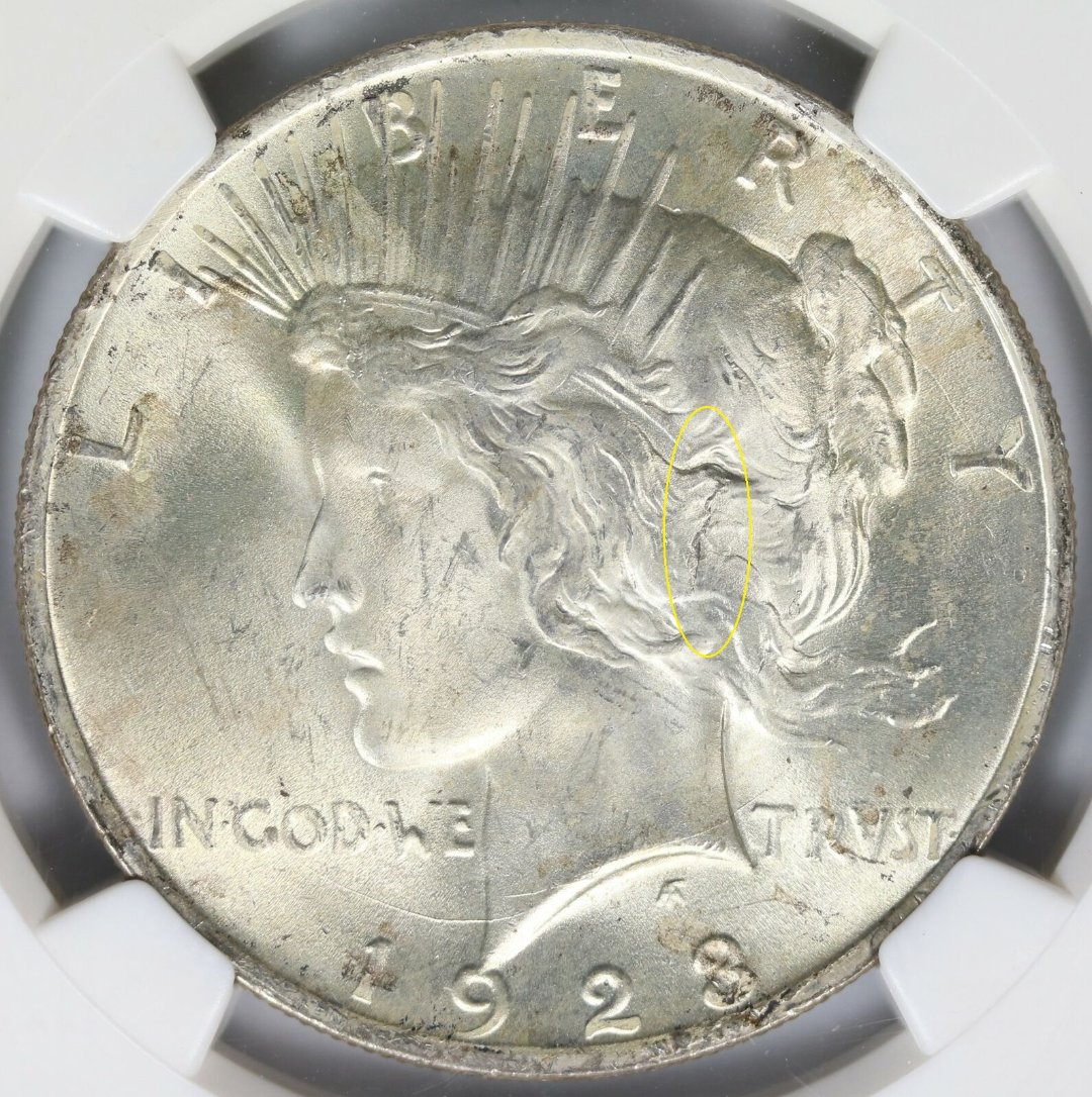 Continuing-List-To-Show-Everyones-Latest-Acquisitions