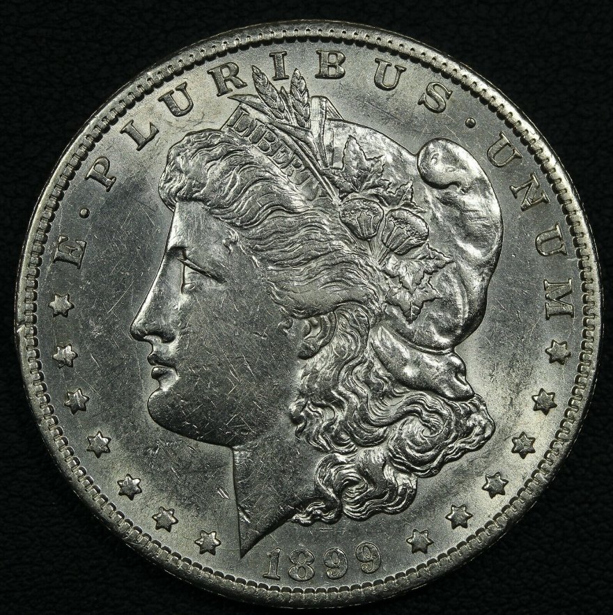 What-Grade-For-This-1899-S-Morgan