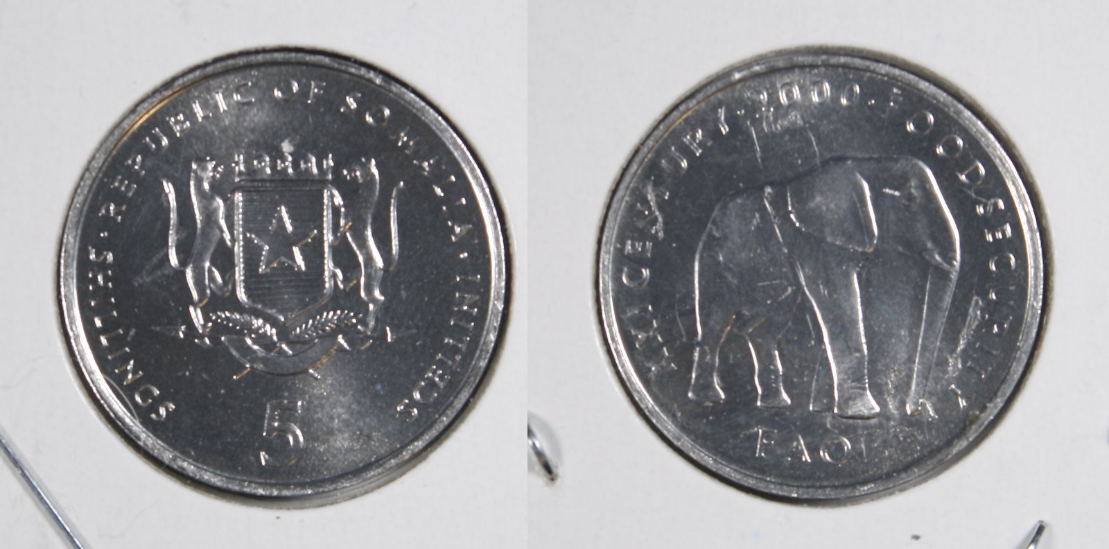 Post-Your-Coins-Representing-The-Animal-Kingdom.