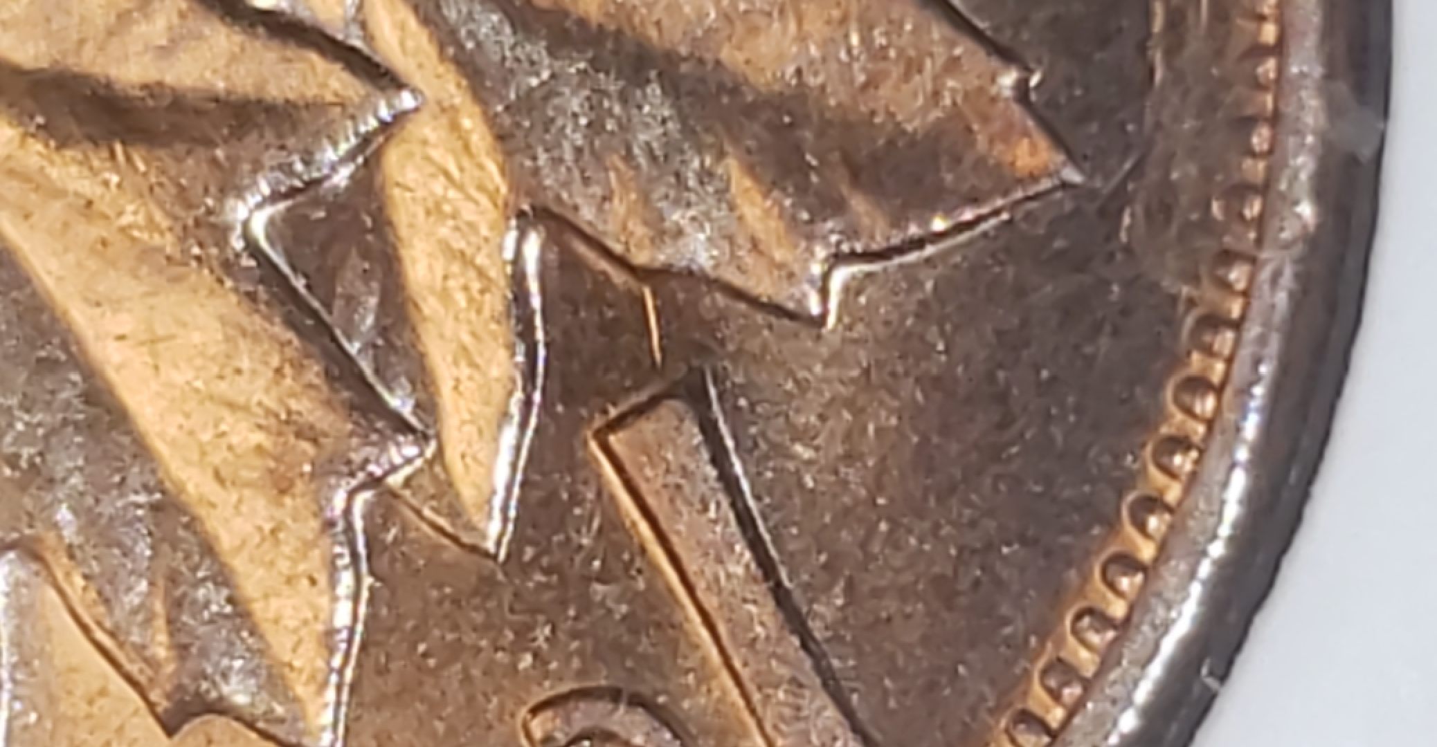 This-Weeks-1-Cent-Finds
