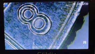 Possible-Discovery?-2018-D-Block-Island-Quarter-DDR
