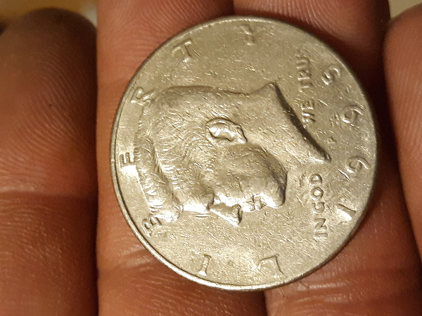 Half-Dollar-Missing-Rim-?