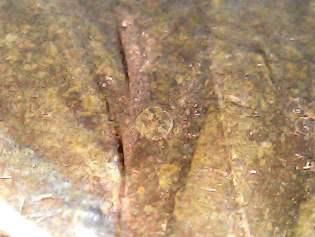 1987-Lincoln-Cent,-Buttons?-Or-More-Random-