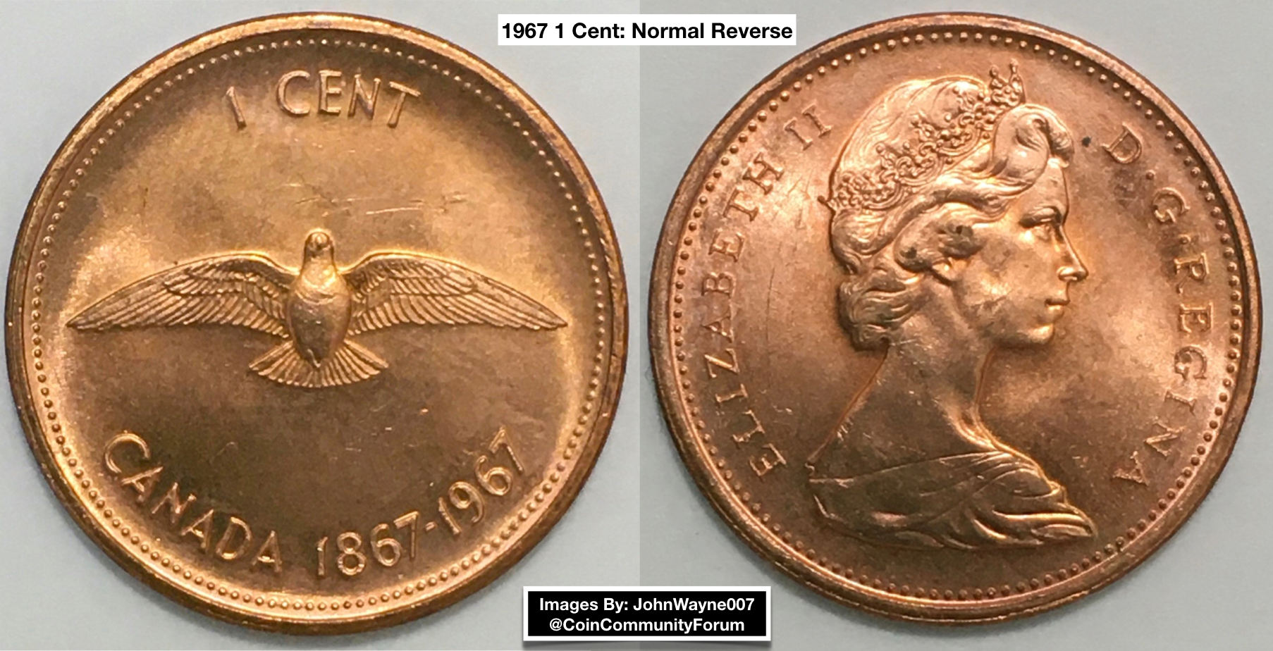 1967-1-Cent,-Beakless-Birds-From-Original-Bank-Wrapped-Roll