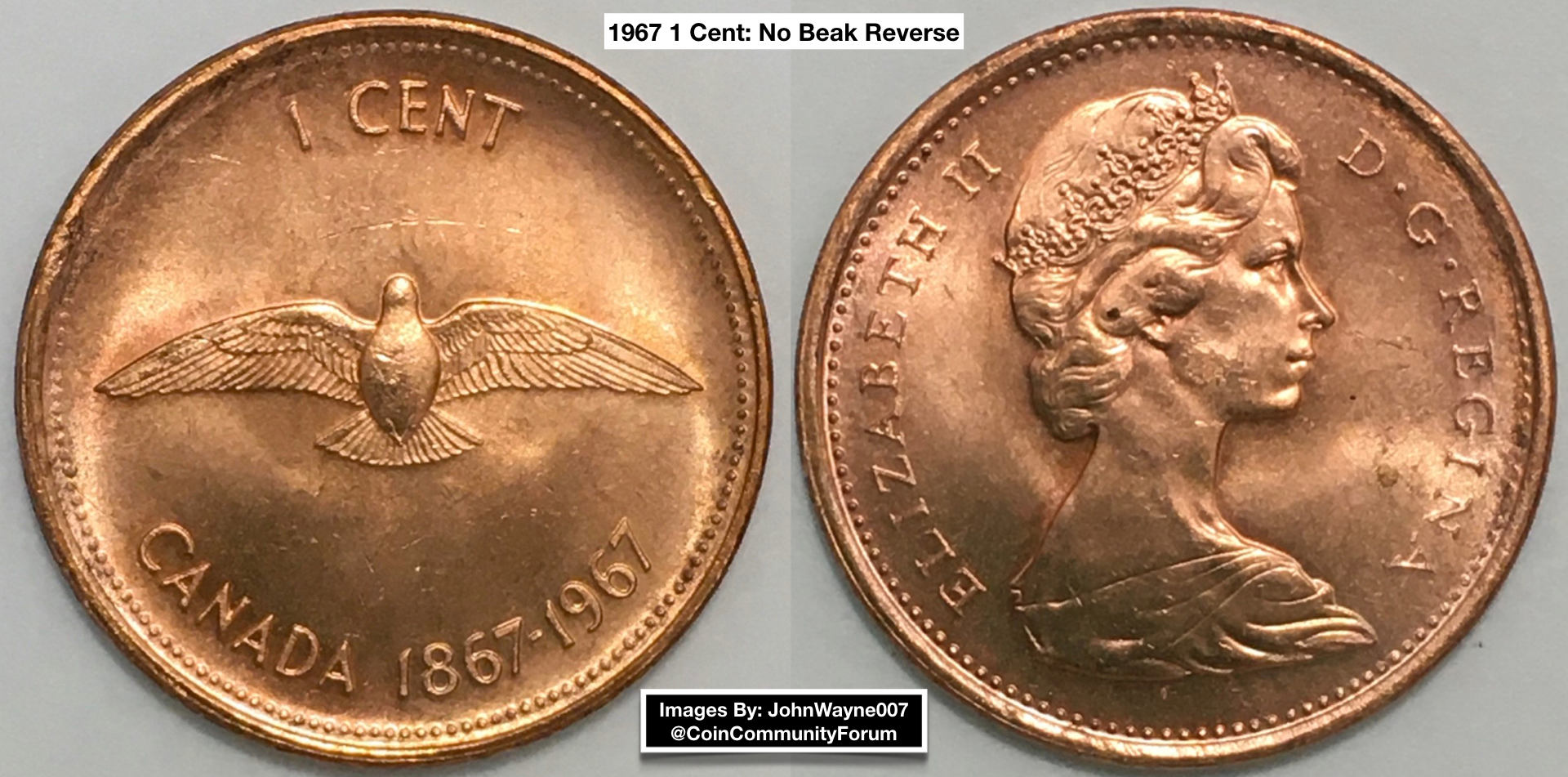1967-1-Cent,-Beakless-Birds-From-Original-Bank-Wrapped-Roll