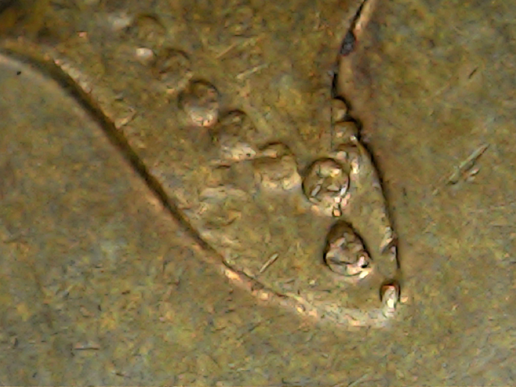 1994-1-Cent-Doubled-Die-Obverse