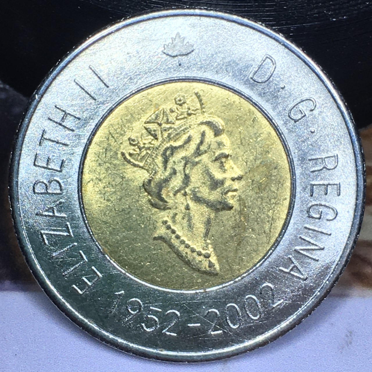 2002-Toonie-Counterfeit
