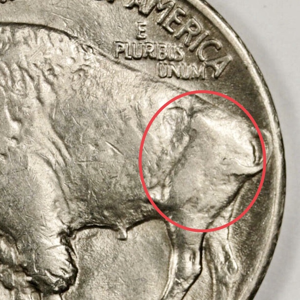1936-S-Over-S-Buffalo-Nickel
