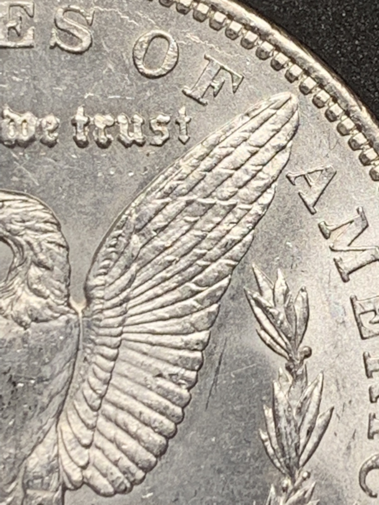 1904-O-Morgan-Please-Grade