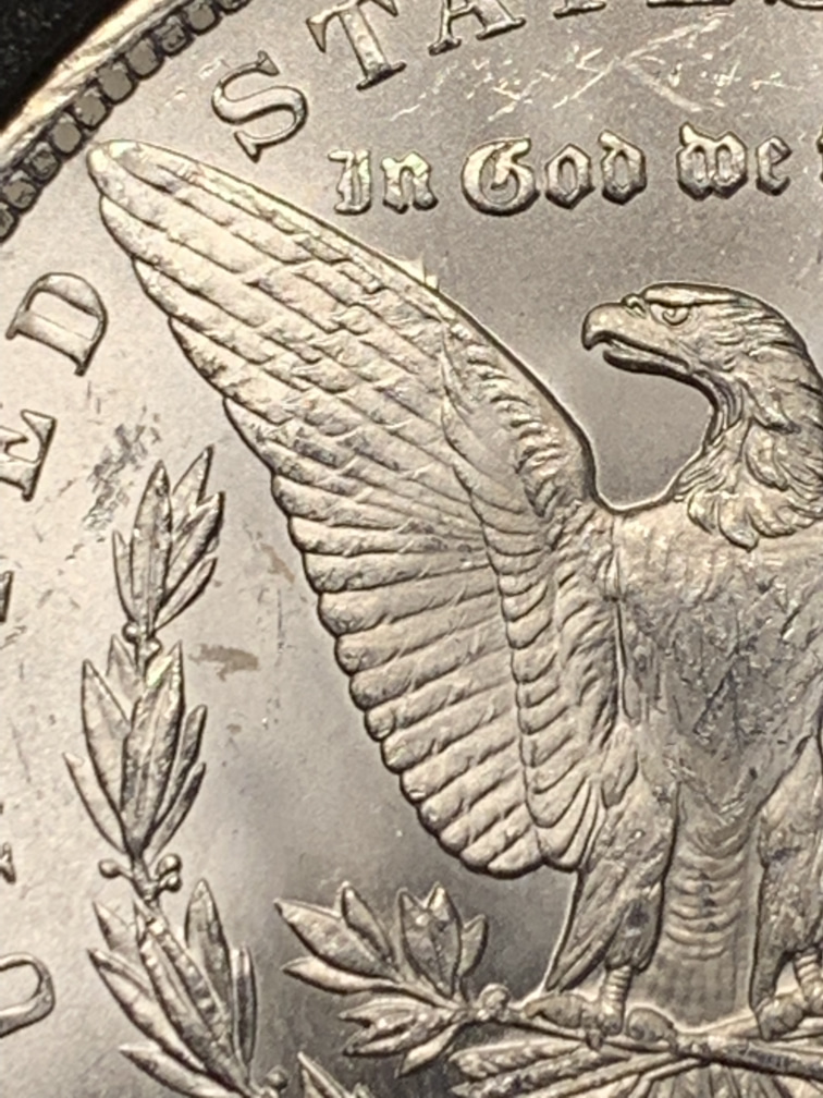 1882-CC-Please-Grade