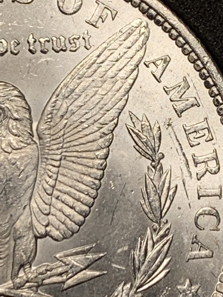 1882-CC-Please-Grade