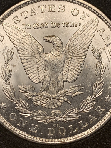 1882-CC-Please-Grade