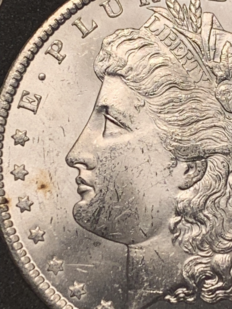 1882-CC-Please-Grade