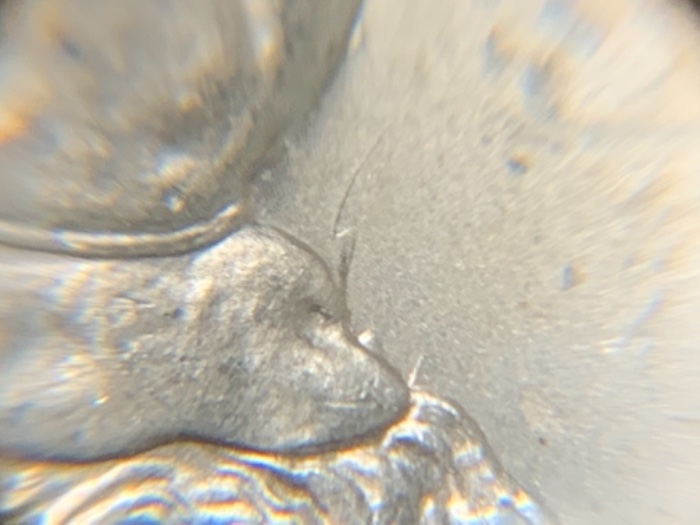 1884-CC-VAM?-Please-Take-A-Look.