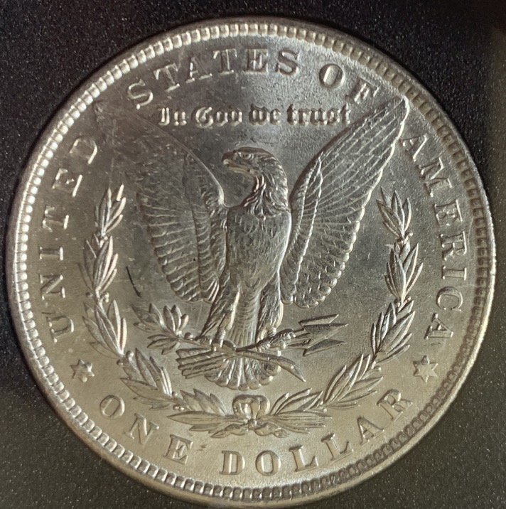 1889-P-Morgan-Does-It-Make-67?-You-Grade.