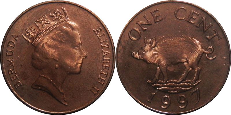 Post-Your-Coins-Representing-The-Animal-Kingdom.