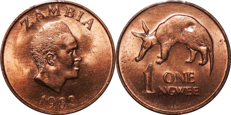 Post-Your-Coins-Representing-The-Animal-Kingdom.