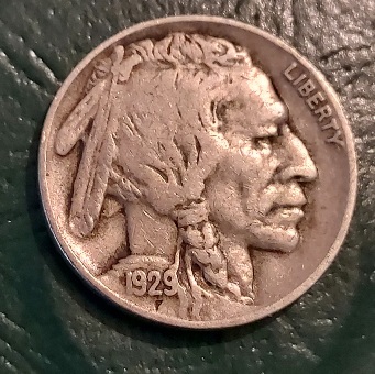 1929-D-Buffalo-Nickel
