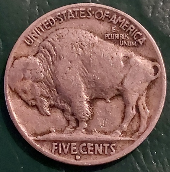 1929-D-Buffalo-Nickel