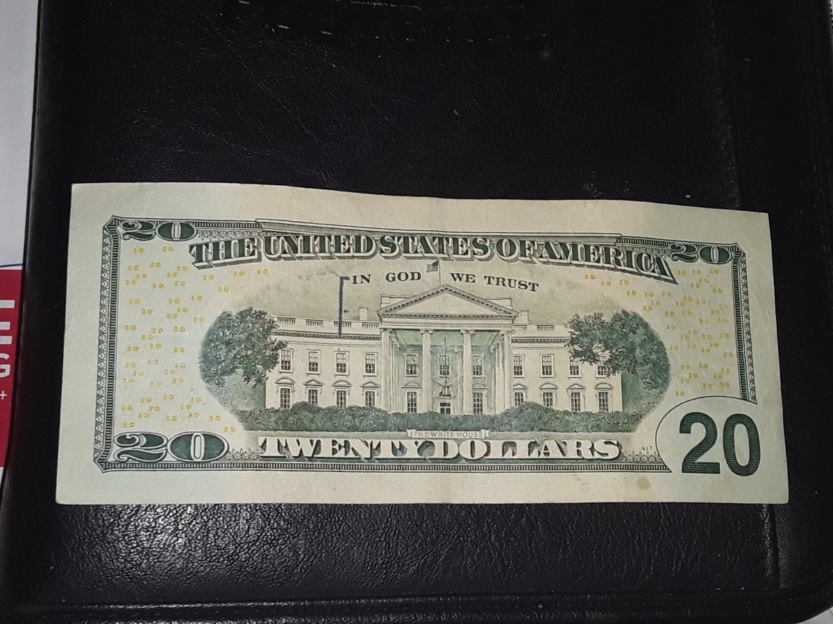 Unusual-Mark-On-The-Back-Of-20-US
