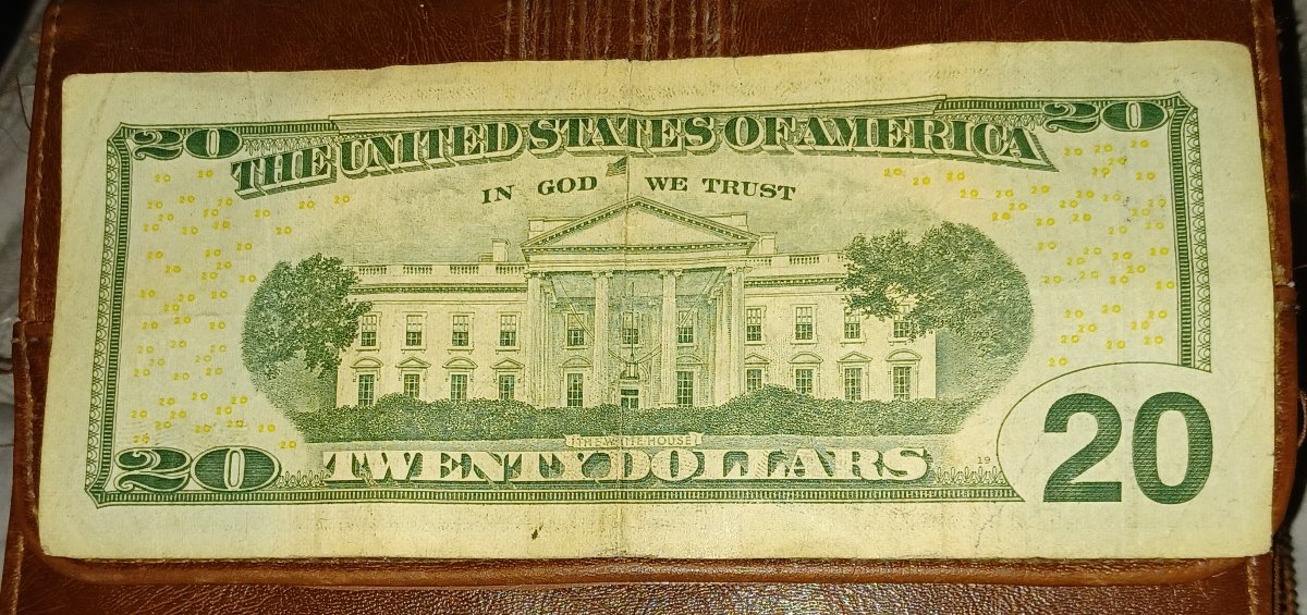 20-Dollar-Bill-With-Unique-Serial-Number