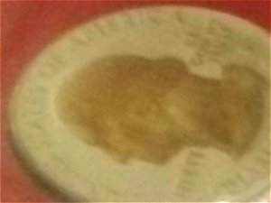 2000-State-Quarter-Error