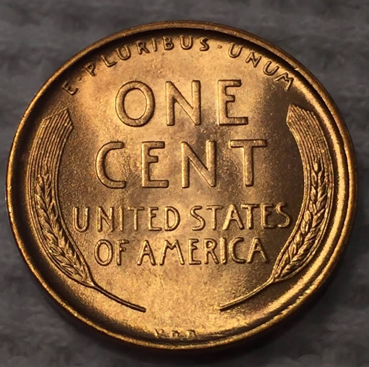 1909-VDB-Lincoln-Cent-For-Grading!