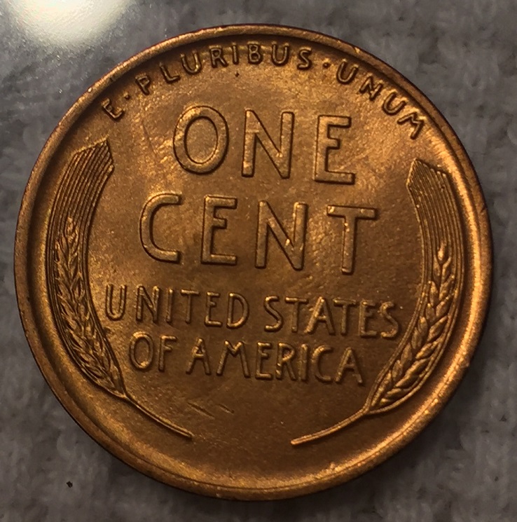 1919-Lincoln-Wheat-Cent-For-Grading