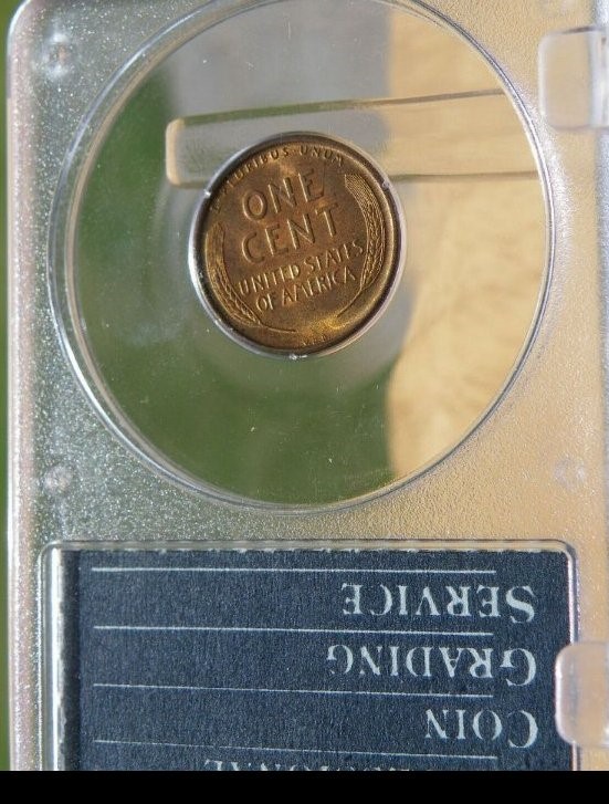 1909---S-VDB-Lincoln-Wheat-Cent-For-Grading