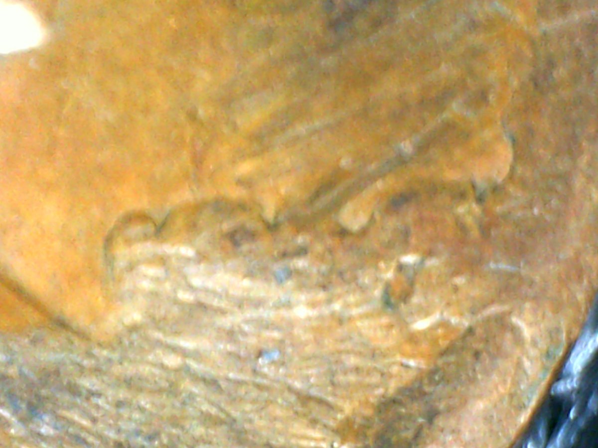 Mystery-Date-LMC-Copper,-&-Mystery-Error?