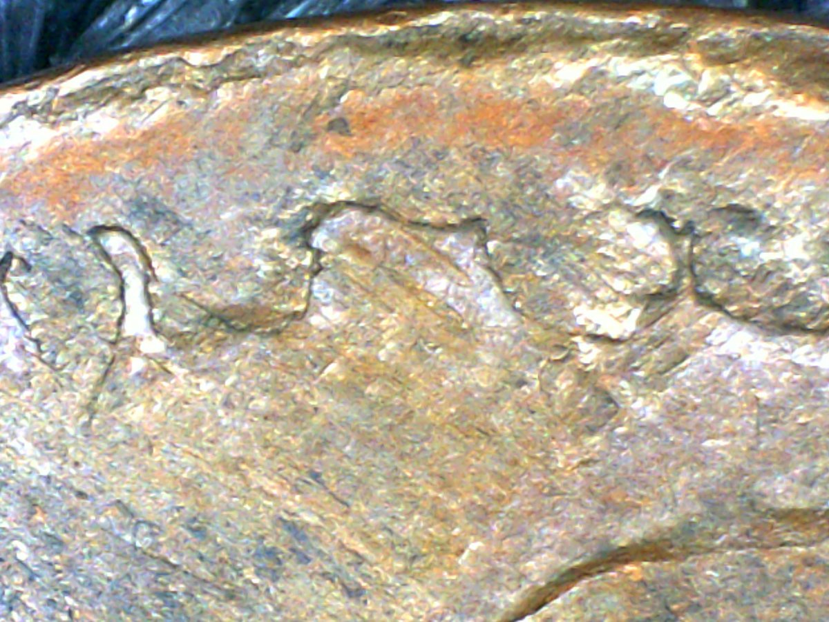 Mystery-Date-LMC-Copper,-&-Mystery-Error?