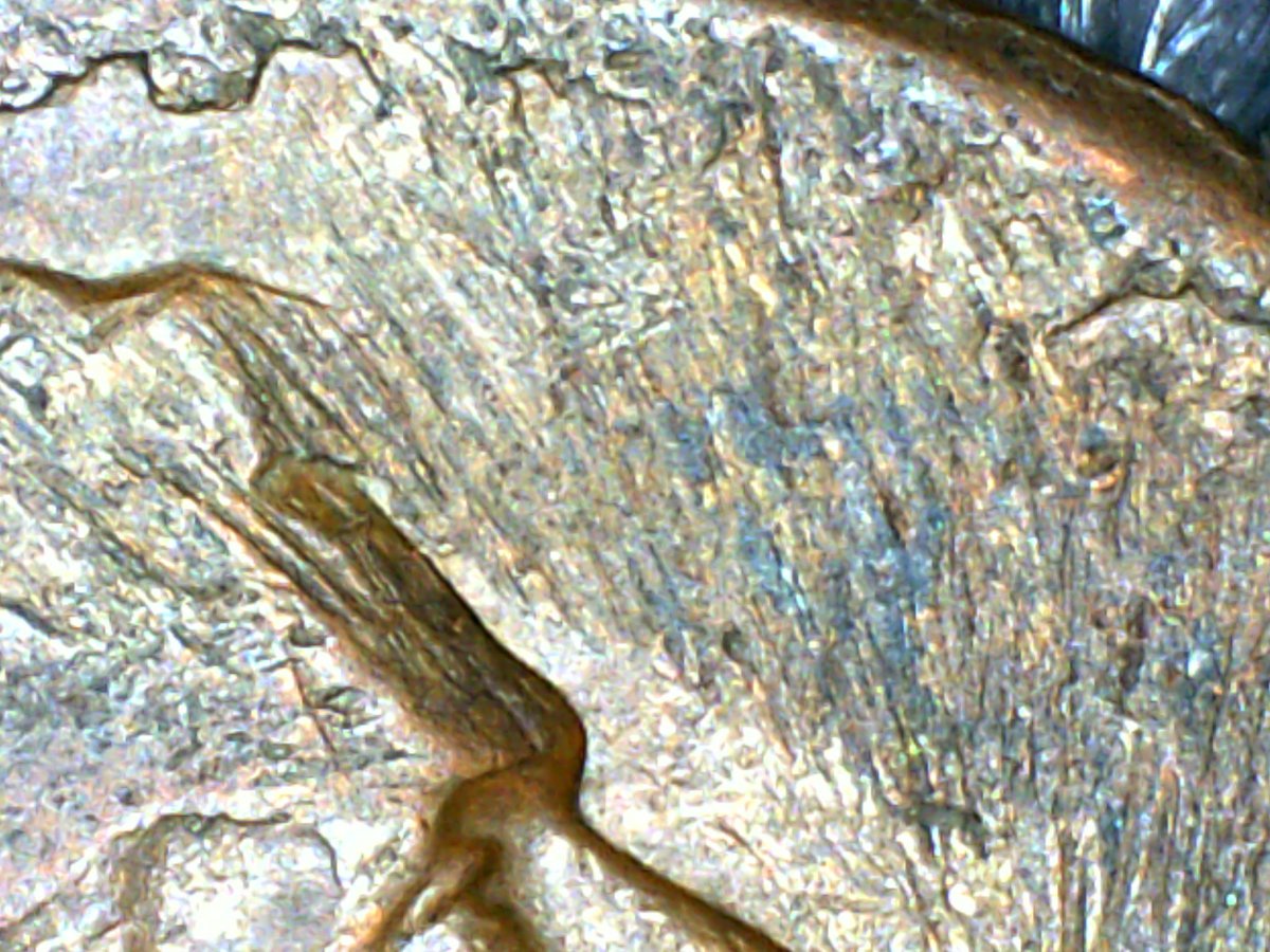 Mystery-Date-LMC-Copper,-&-Mystery-Error?