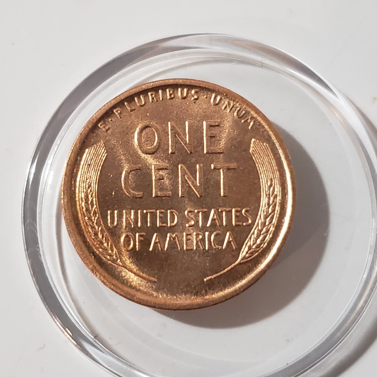 1909-P-Lincoln-Wheat-Cent,-Grade?