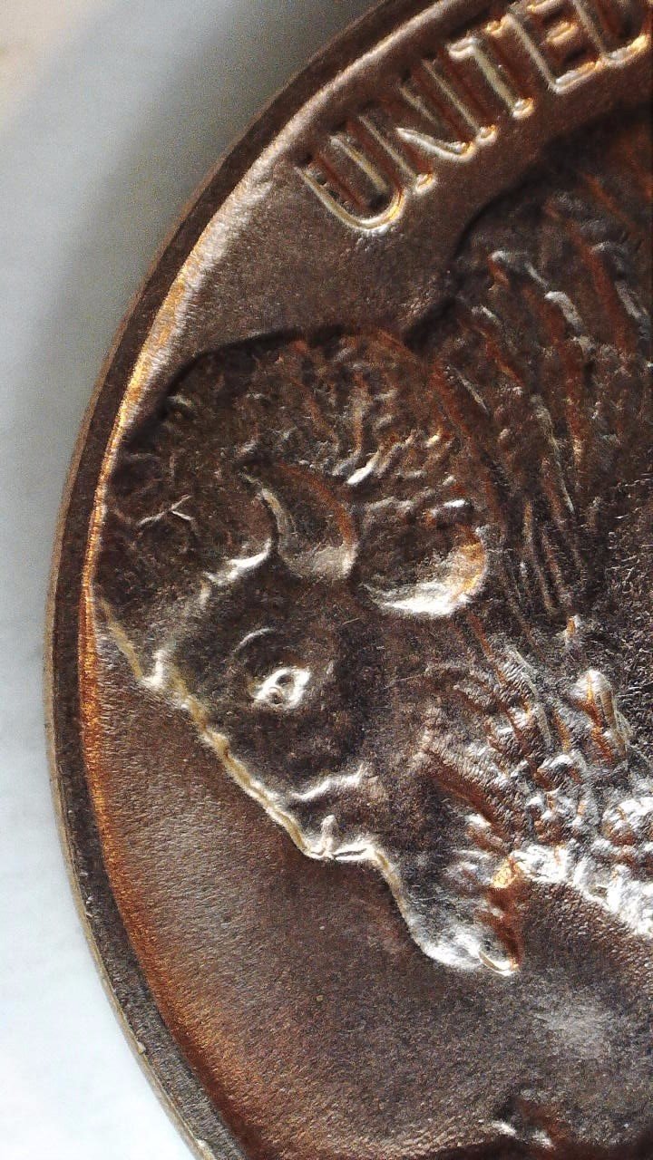 1938-D-Buffalo-Nickel,-For-Grading!
