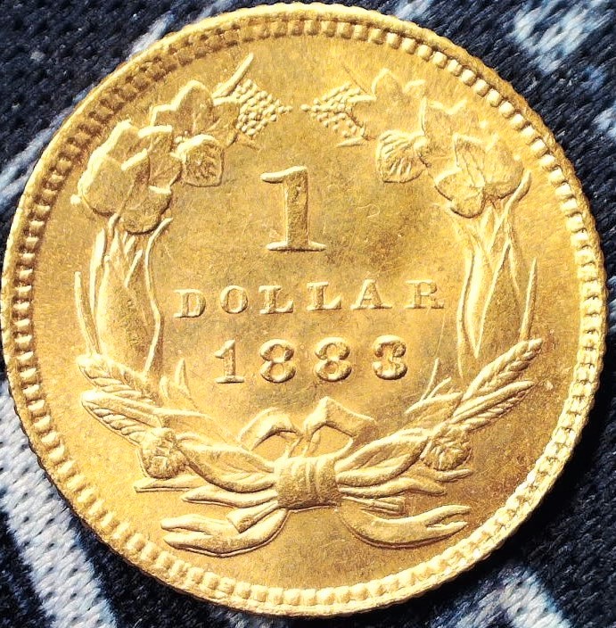 1883-Gold-$1-Indian-Princess,-For-Grading