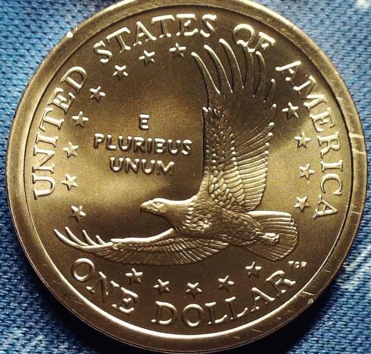 2005-P-$1-Sacagawea,-For-Grading.