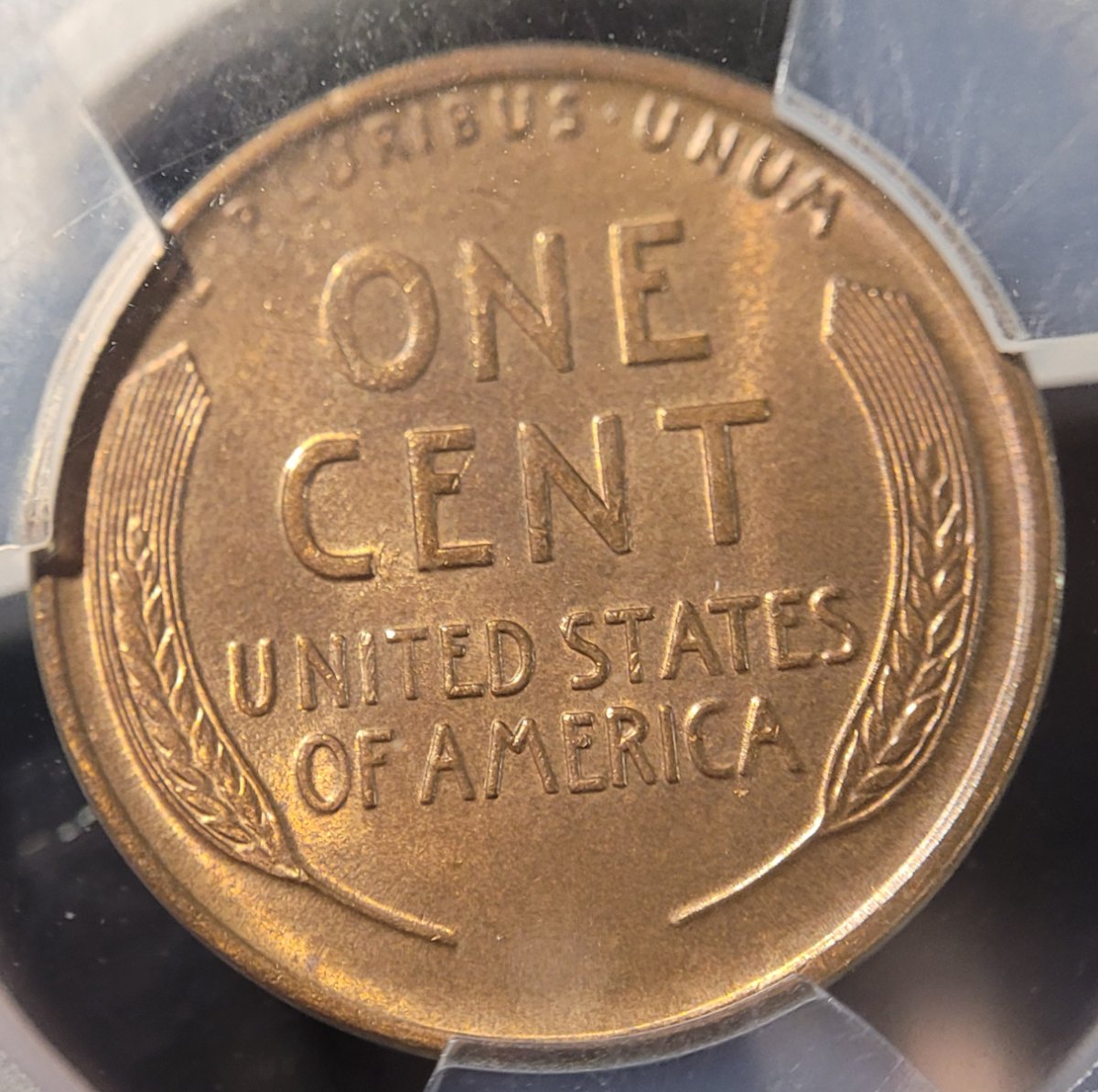 1916-D-Lincoln-Wheat-Cent,-You-Vs.-PCGS