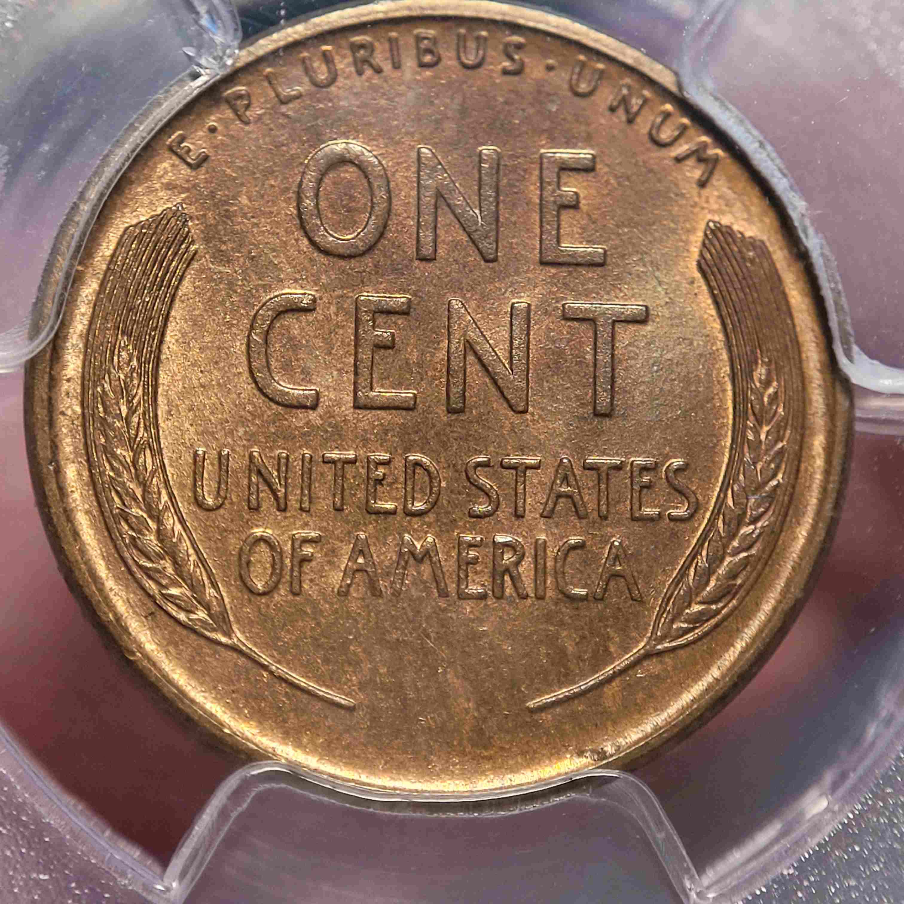 1911-S-Lincoln-Cent,-You-Vs-PCGS
