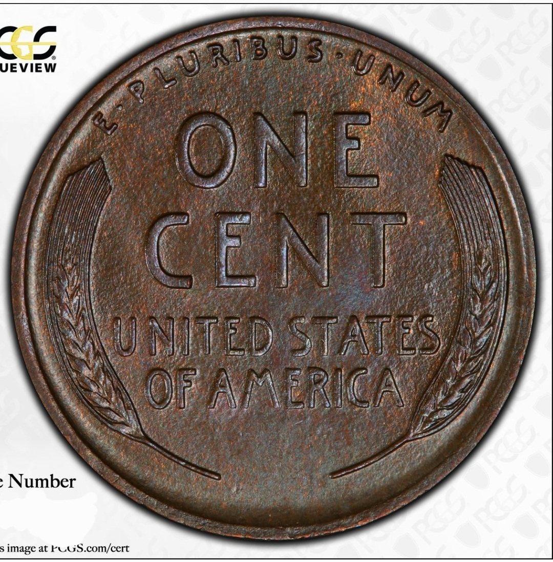 1917-D-Lincoln-Cent,-You-Vs.-PCGS
