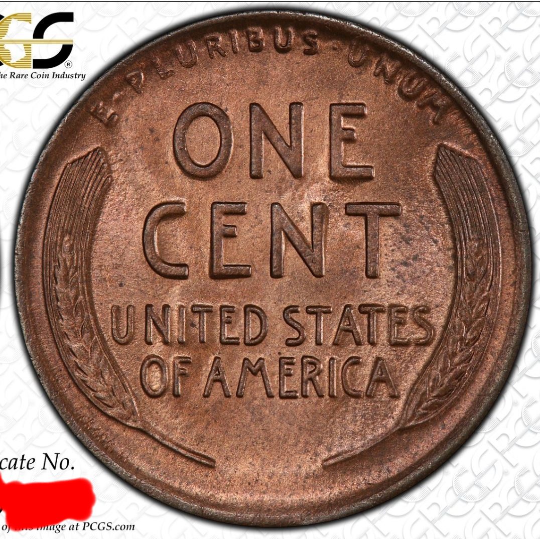 1911-D-Lincoln-Wheat-Cent,-You-Vs.-PCGS