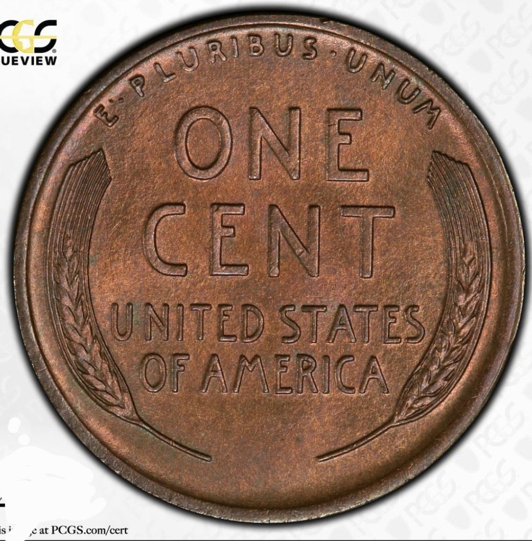 1919-D-Lincoln-Cent,-You-Vs.-PCGS.